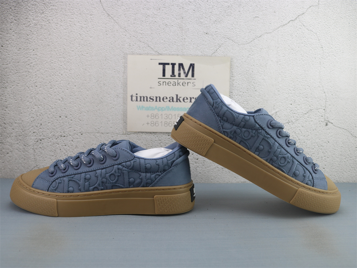 Stone Island X DIOR B33 Skateboard Shoes Men Low-Top Blue
